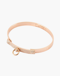 Collier Chien
