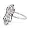 Bague 53 Bague en platine avec diamant taille ancienne et diamants taille rose 58 Facettes 671EEFEFD4514AD988CCA9865E203D68