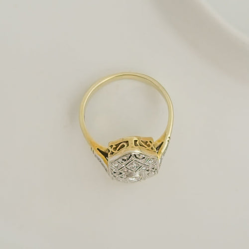 https://cdn.shopify.com/s/files/1/0442/6560/3235/files/20241010-20241010_164509.jpg?v=1729084801