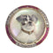 Broche Broche Jack Russell Terrier en or 18K, diamants et rubis 58 Facettes 21007-0047