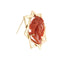 Pendentif Broche pendentif étoile en or rose 14 ct et corail 58 Facettes 35138