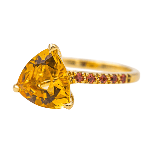 Bague 53 Bague en or jaune 18 carats citrine et grenats 58 Facettes 4167003RV