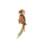 Broche Broche motif oiseau en or jaune et émail 58 Facettes LF1
