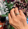Bague 55.5 Bague filigranée Art nouveau en or jaune 14 carats 58 Facettes B6DEA5888AF34FF9A06AEF61361E3E1A