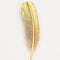 Broche HERMES - Broche "Plume" en or jaune 58 Facettes DV0526-1