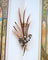 Broche Broche motif feuilles 1950 en or rose, saphirs et diamants 58 Facettes A11347