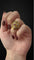 Bague Cozzolino - Bague bombée en or jaune 18K avec diamants et rubis 58 Facettes