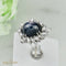 Bague 53.5 Bague en or blanc 750 avec saphir étoilé 15 ct et diamants 58 Facettes 1864