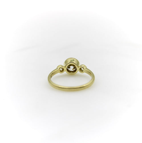 https://cdn.shopify.com/s/files/1/0075/4188/2943/files/IMG_8389.jpg?v=1701310385