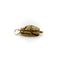 Pendentif Egyptian Revival - Pendentif scarabée en or jaune 14k et pierre beige 58 Facettes A2003M