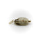 Pendentif Pendentif scarabée style Egyptian Revival en or 14 carats et pierre grise 58 Facettes A2003P