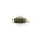 Pendentif Pendentif scarabée style Egyptian Revival en or 14 carats et pierre grise 58 Facettes A2003P