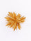 Broche OJ Perrin - Broche étoile en or jaune 18 carats 58 Facettes 1126.3
