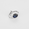 Boucles d'oreilles Paire de boucles d'oreilles en or gris, saphirs et diamants 58 Facettes DV16843-6