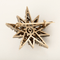 Élégante broche d'époque Napoléon III en or rose doublée d'argent à motif d'étoile