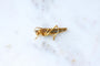 Broche Broche sauterelle ancienne en or jaune 18kt et diamants 58 Facettes
