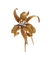 Broche Fleur de Diamants - Broche Art nouveau en or jaune et diamants 58 Facettes BO220678/FleurdeDiamants