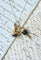 Montre Pendentif clé de montre en or jaune 18kt et jaspe sanguin 58 Facettes