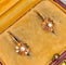 Boucles d'oreilles Boucles d'oreilles dormeuses Napoléon III or jaune 58 Facettes