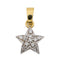 Pendentif Pendentif Etoile Or blanc Diamant 58 Facettes 2927108CN