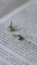 Boucles d'oreilles Dormeuses Anciennes Perles Fines Diamants 58 Facettes