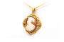 Pendentif Pendentif camée Napoléon III en or jaune 58 Facettes 13575