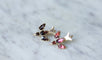 Boucles d'oreilles Dormeuses colombes grenats de Perpignan 58 Facettes