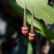 Boucles d'oreilles Boucles d'oreilles pendantes modernistes italiennes en or 14 carats avec sphère en verre 58 Facettes A20063