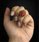 Bague Bague de style baroque, corail et diamants 58 Facettes