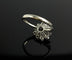 Bague Bague en or blanc sertie de diamants, époque lictueuse italienne 58 Facettes