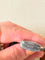 Montre HERMÈS - Montre Kelly Double tour 58 Facettes WC-2025-2034