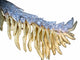 Pendentif Broche et pendentif ornée de 2 carats de brillants 58 Facettes
