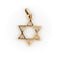 Pendentif Pendentif Etoile de David Or jaune 58 Facettes 1783195CN