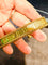 Bracelet Bracelet or jaune époque 1950 58 Facettes 7788 A