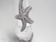 Bague 52 Bague étoile de mer or blanc 18 carats saphirs et diamants 58 Facettes