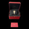 Montre Cartier Montre Santos De Cartier Galbee Pm 58 Facettes MT43964