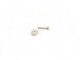 Boucles d'oreilles puce boucle d'oreille VANRYCKE valentine diamant 0.11 ct or blanc 18k 58 Facettes 266429