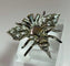 Pendentif Pendentif et broche design Fly avec diamants 58 Facettes 50199