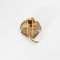 Broche Clip de revers anémone or jaune et diamants 58 Facettes AB39