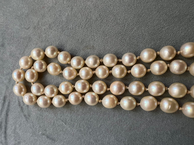 Collier Collier choker 55 perles de culture fermoir or jaune dans une perle 58 Facettes