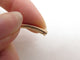 Bracelet bracelet CARTIER ecrou crb6049517 18 or rose 18k en 58 Facettes 268252