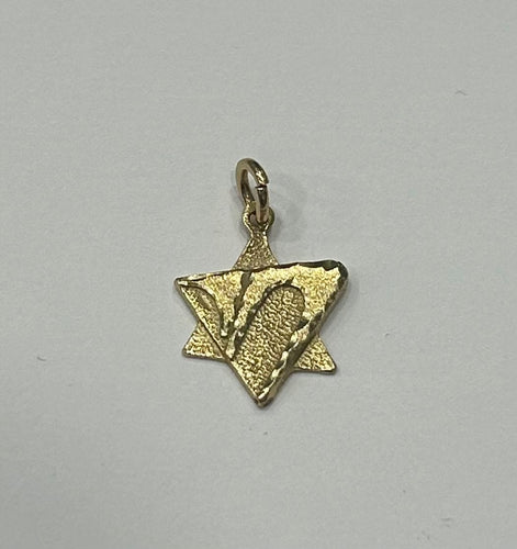 Pendentif Pendentif Israel 58 Facettes LP848/3