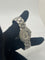 Montre Coffret complet Cartier 21 Must de Cartier 58 Facettes