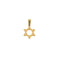 Pendentif Pendentif Etoile de David en or jaune 58 Facettes ARL0654