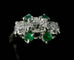 Bague 56 Bague or blanc diamant ovale de 0,70 carat et émeraudes 58 Facettes