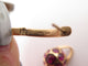 Boucles d'oreilles boucles d'oreilles POMELLATO harem rhodolite or rose 18k s 58 Facettes 268836