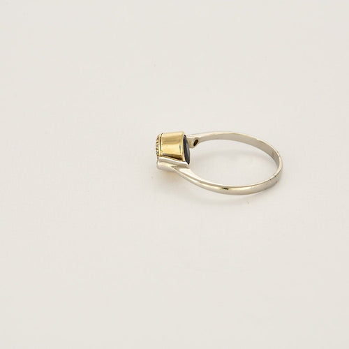 Bague 65 Bague en or jaune, or blanc, Tanzanite et diamants 58 Facettes RAM3128