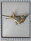 Broche Broche colibri vintage des années 50, un vol fantaisiste du milieu du siècle 58 Facettes 25115-0242