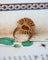 Bague 50 Bague Dôme Chardon Diamants Or et platine 58 Facettes A11447