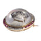 Montre Symbole d'affection : un Jack Russell Terrier en pierres précieuses 58 Facettes 21007-0047